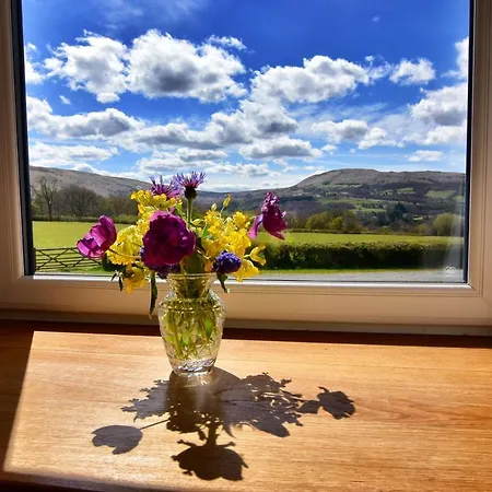 Chic Cottage Near Elan Valley And Builth Wells Llanwrthwl Exterior photo