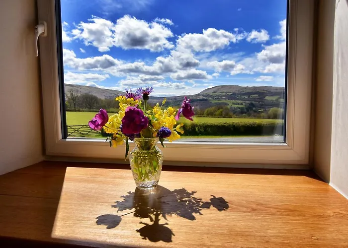 Chic Cottage Near Elan Valley And Builth Wells