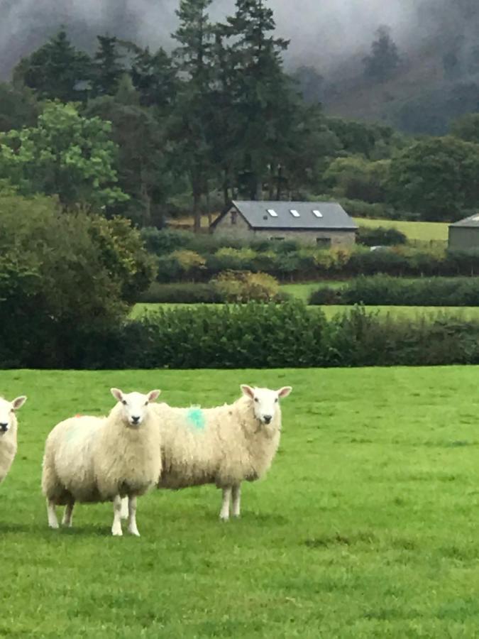 Chic Near Elan Valley And Builth Wells Llanwrthwl